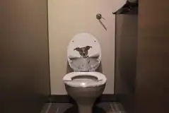 Toilets Toilets