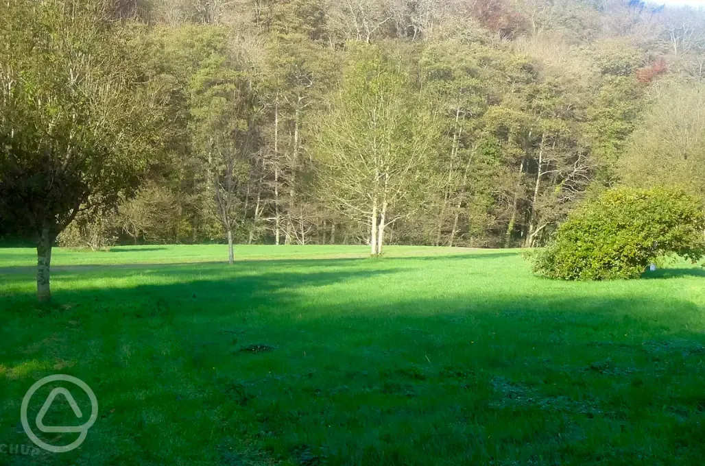 Electric grass tent pitches