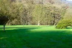 Electric grass tent pitches Electric grass tent pitches