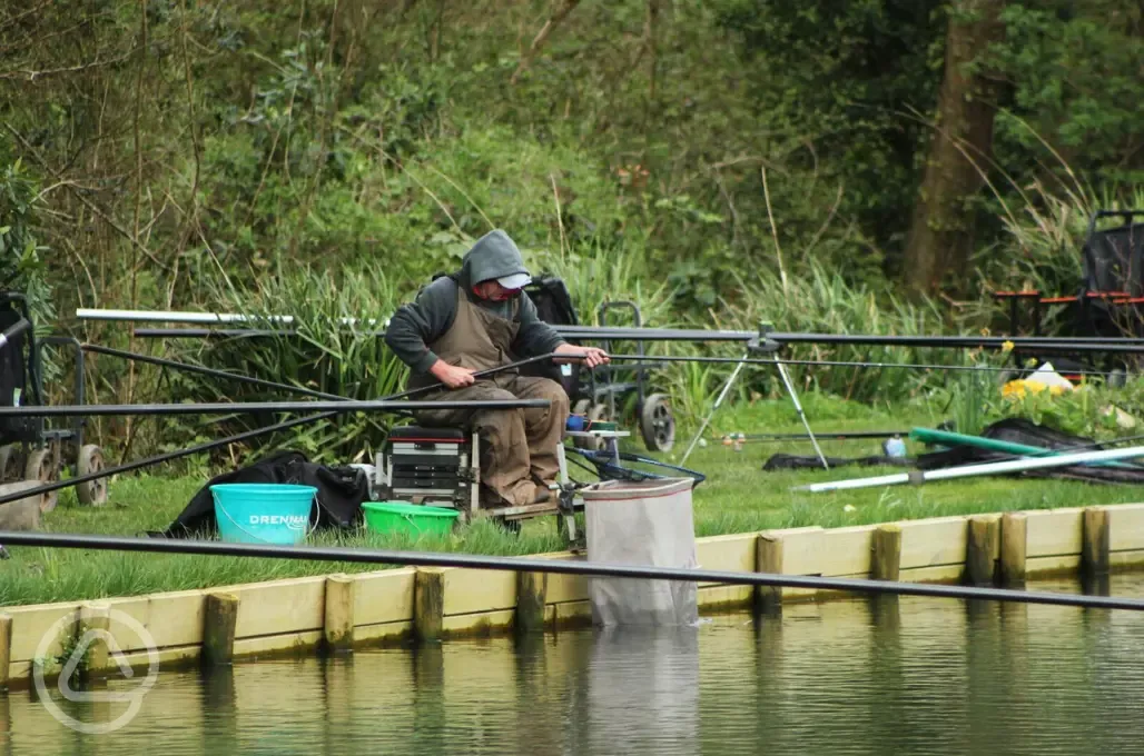 Onsite fishing