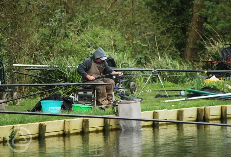 Onsite 1.5 acre fishing lake with carp, chubb, and bream at Mill Park Campsite