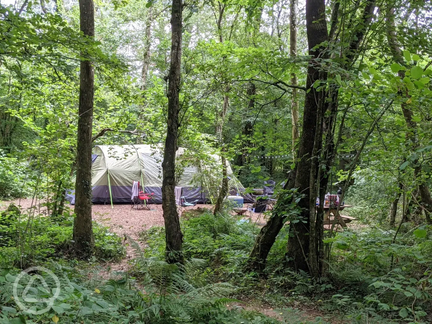 Small non electric woodland pitch (Bracken)