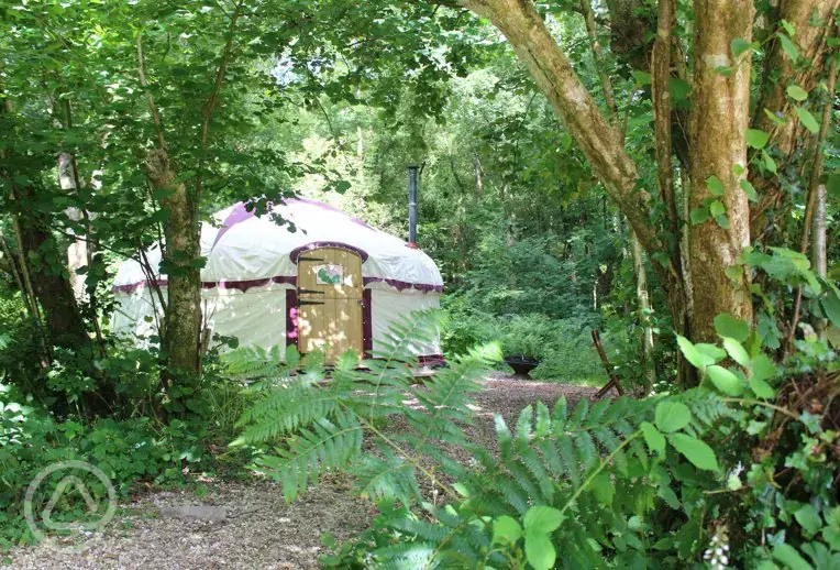 Woodland yurt