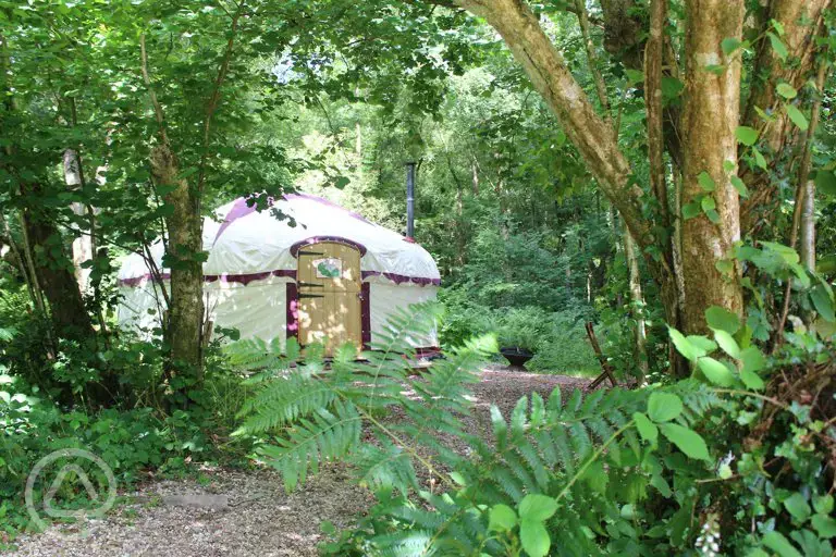 Woodland yurt
