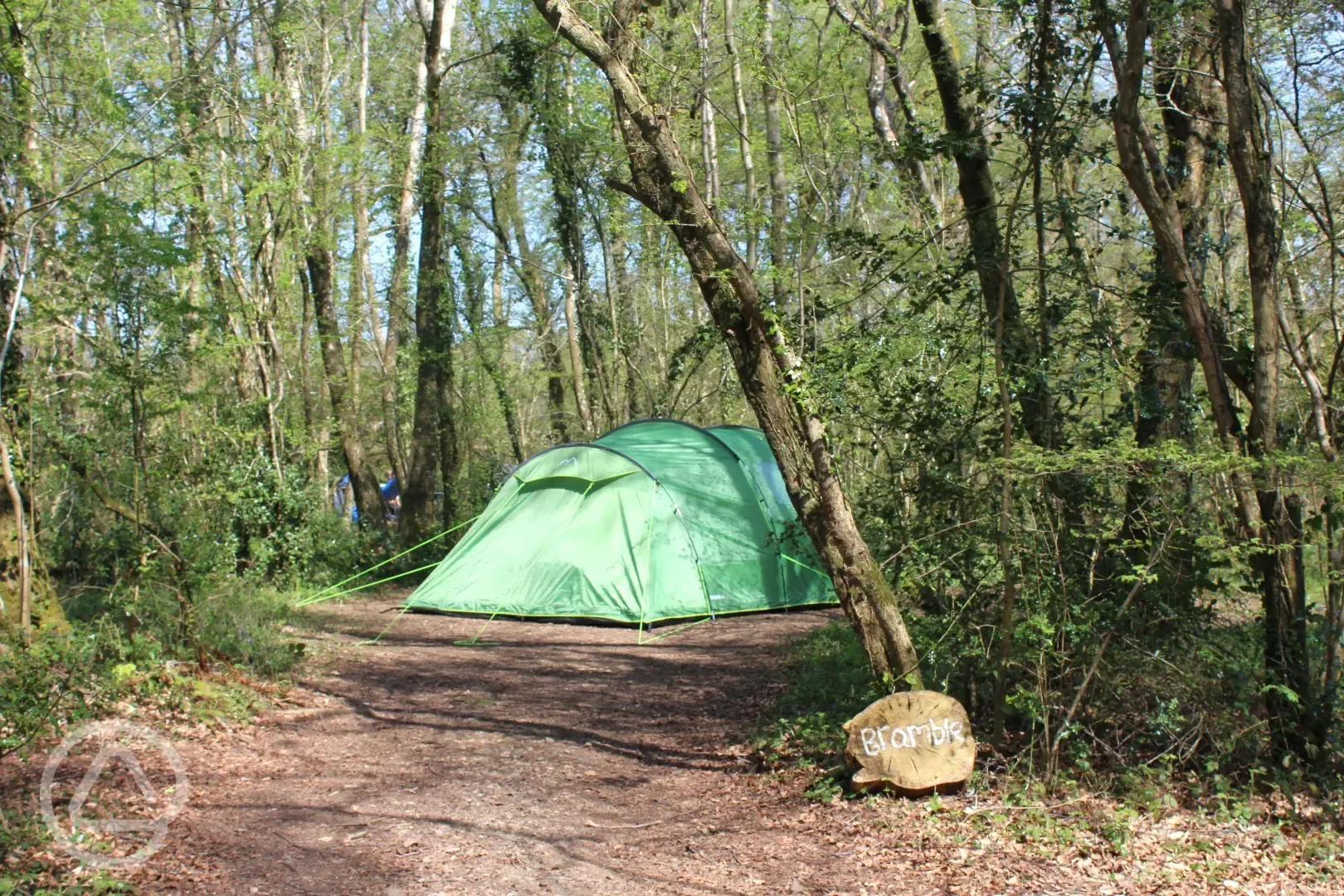 Small electric woodland pitch (Bramble)