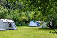 Non electric grass pitches