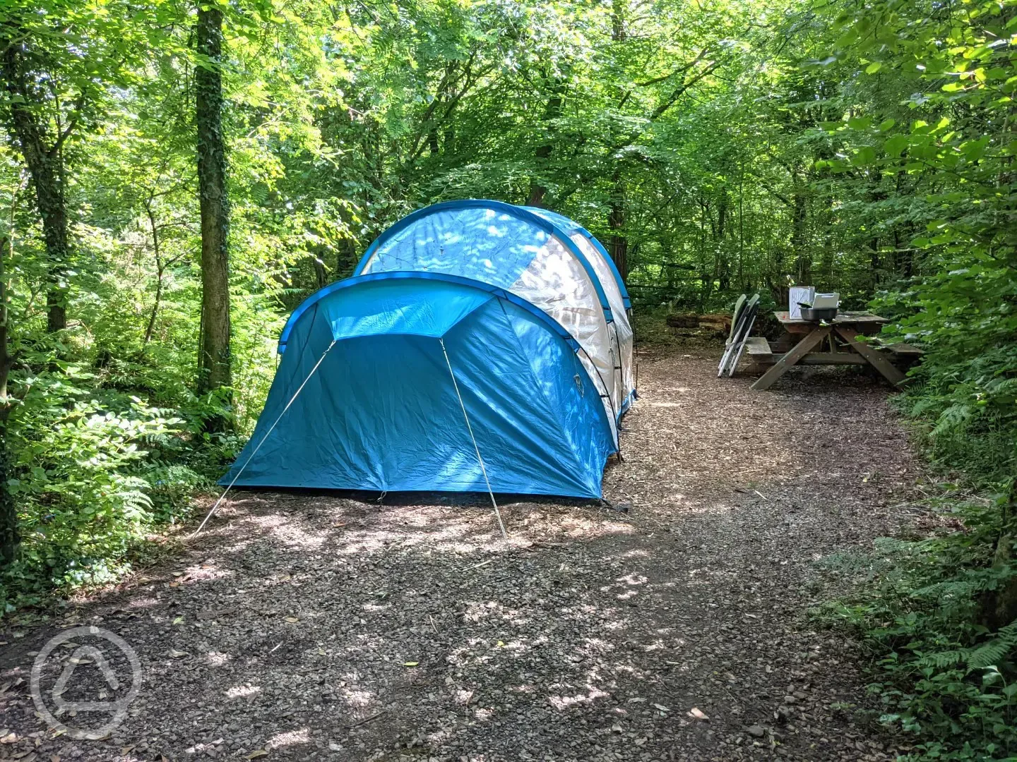 Small electric woodland pitch (Daisy)