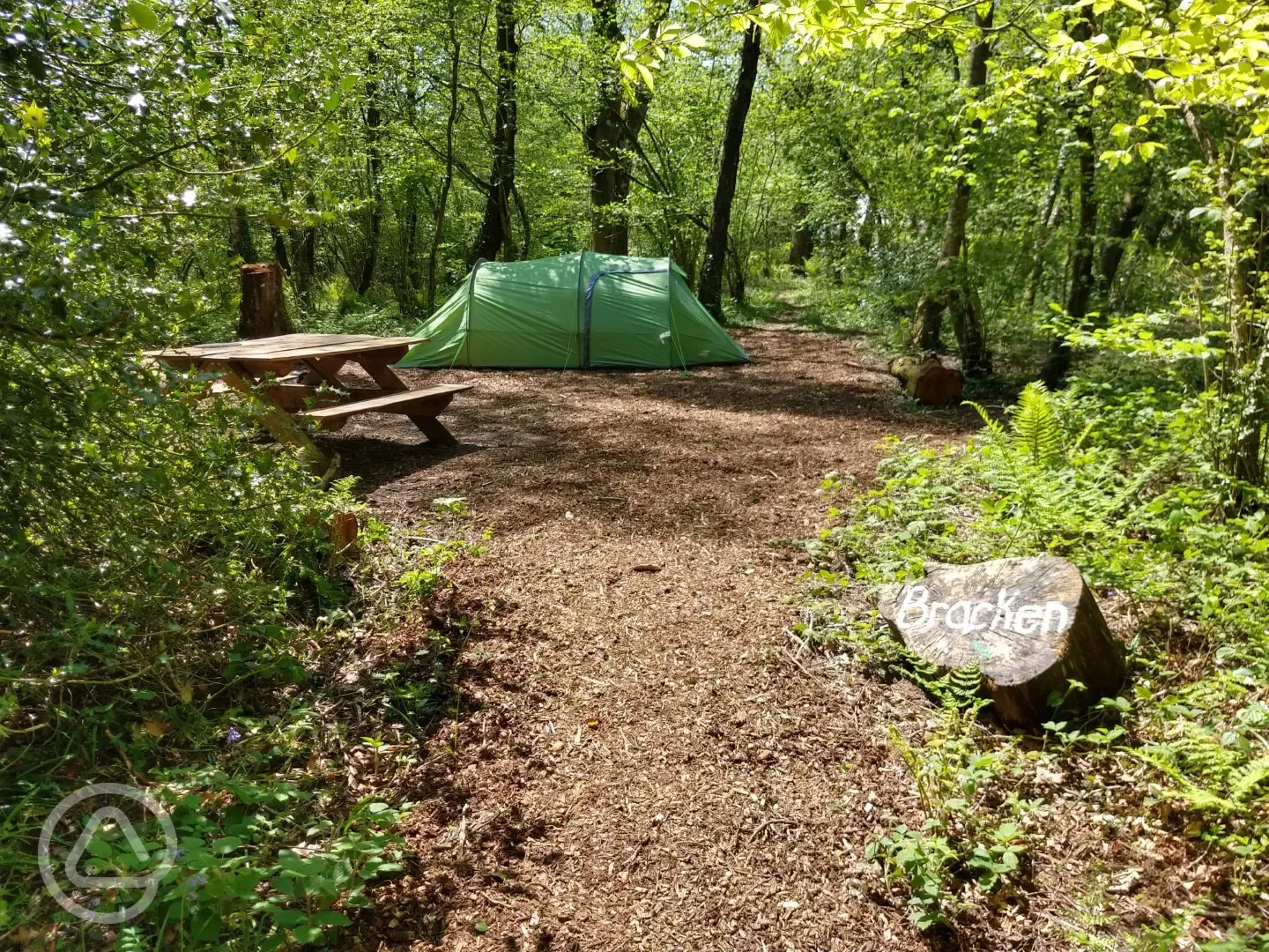 Small non electric woodland pitch (Bracken)