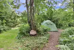 Large non electric woodland pitch with lake view (Primrose)