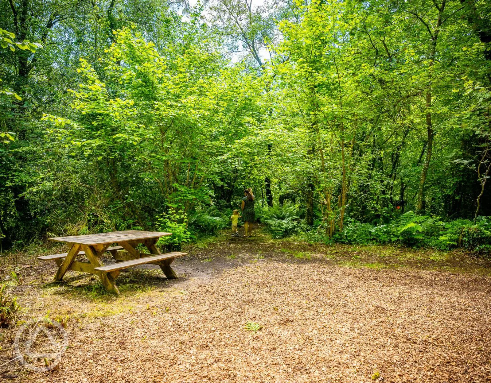 Medium electric woodland pitch (Honeysuckle)