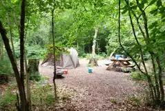 Large electric woodland pitch (Bluebell)