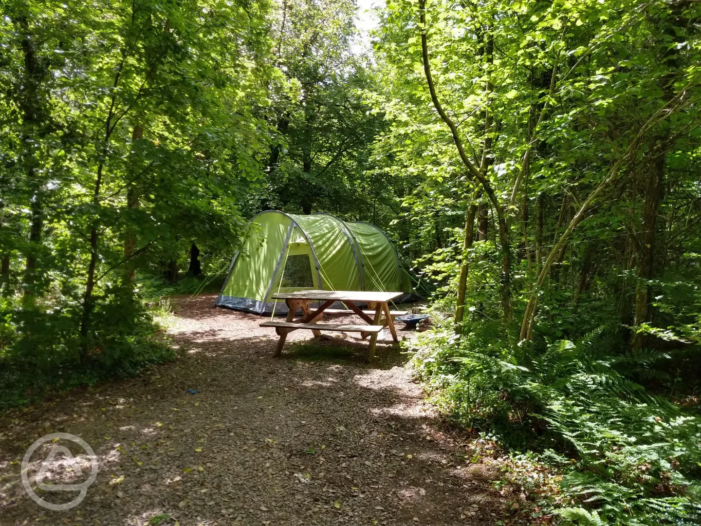 Small electric woodland pitch (Daisy)