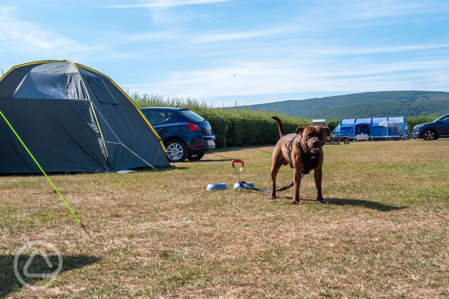 Non electric grass pitches - dog friendly