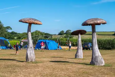 Grass pitches and mushroom sculptures 
