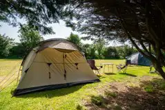 Electric grass tent pitches