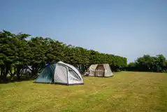 Tents on non electric grass pitches