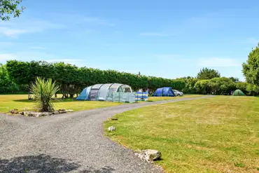 Electric grass tent pitches (11m x 8m)