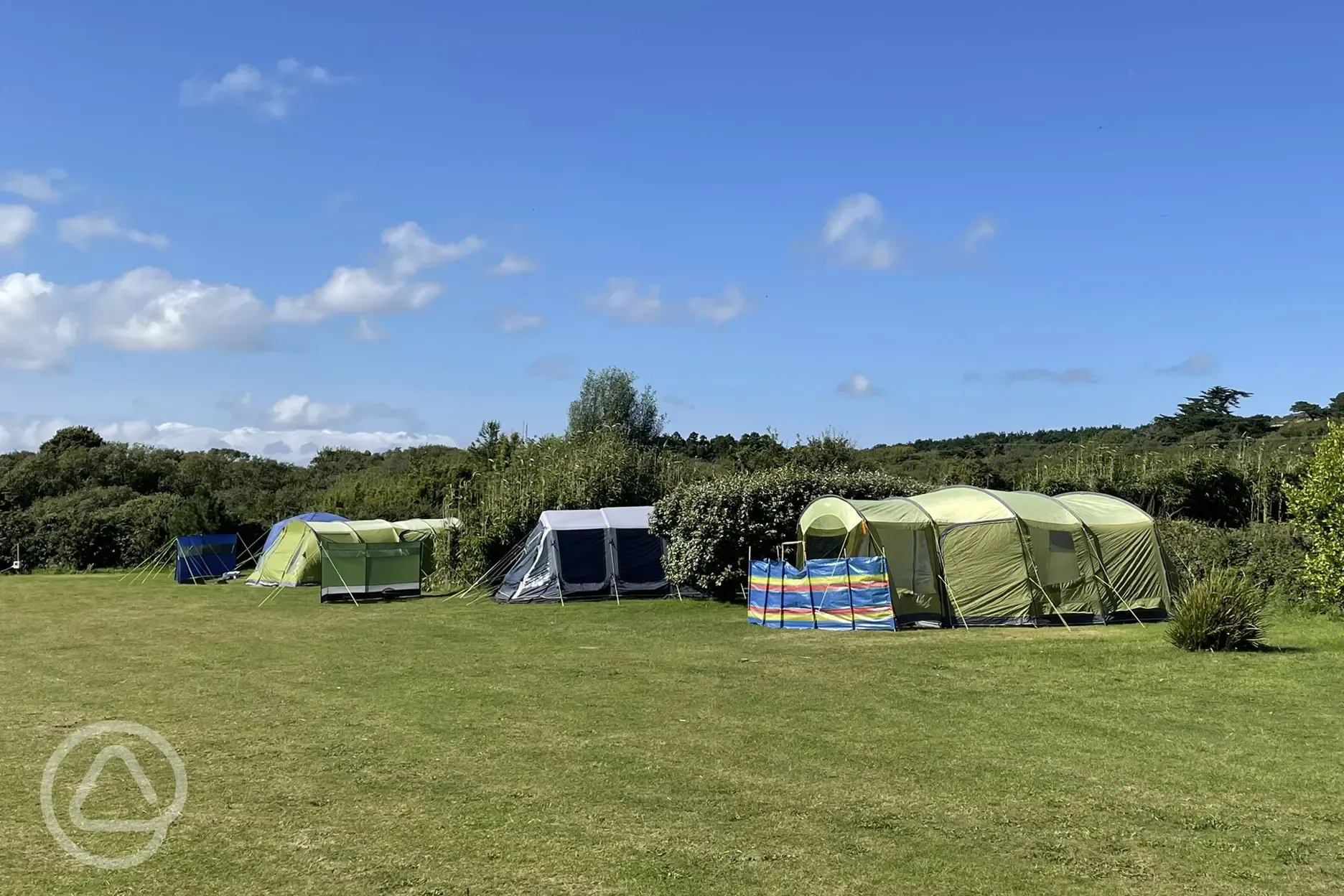 Electric grass pitches 