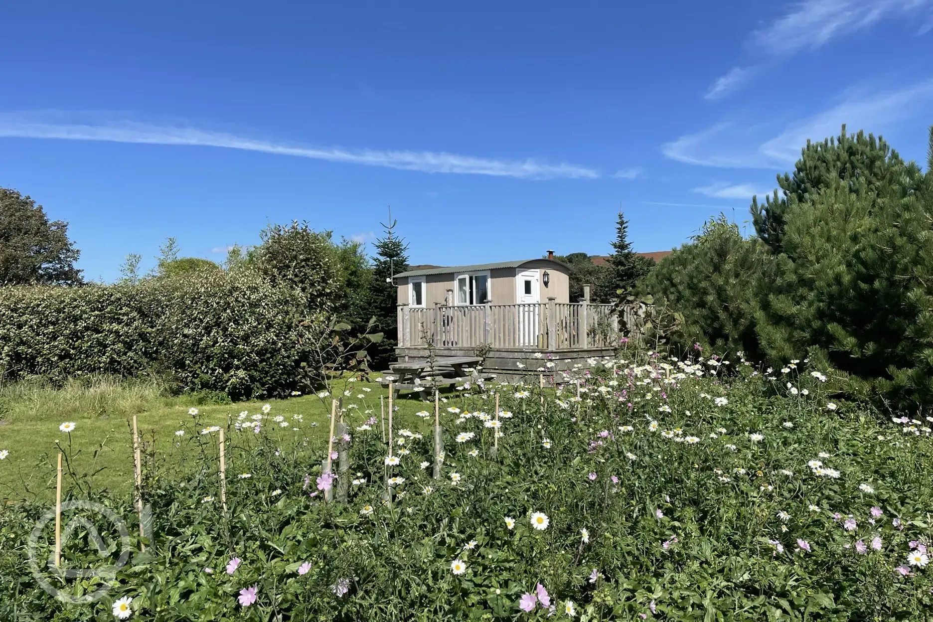 Shepherd's hut 