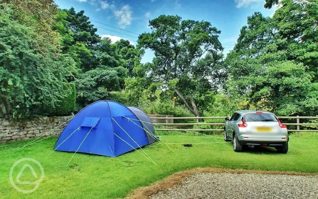 Grass tent pitch with parking along side