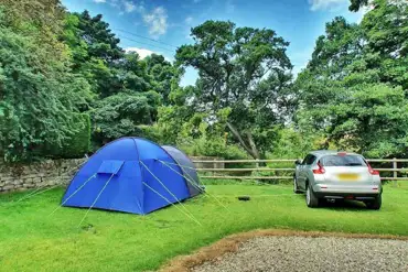 Grass pitches