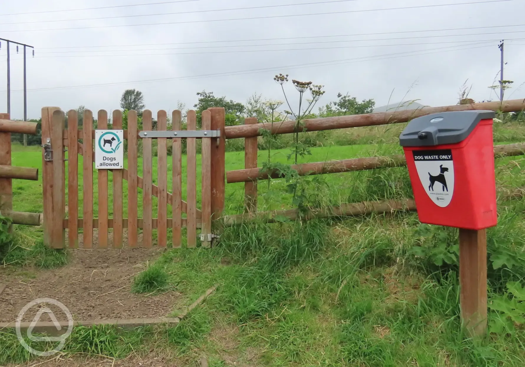 Enclosed dog walking area