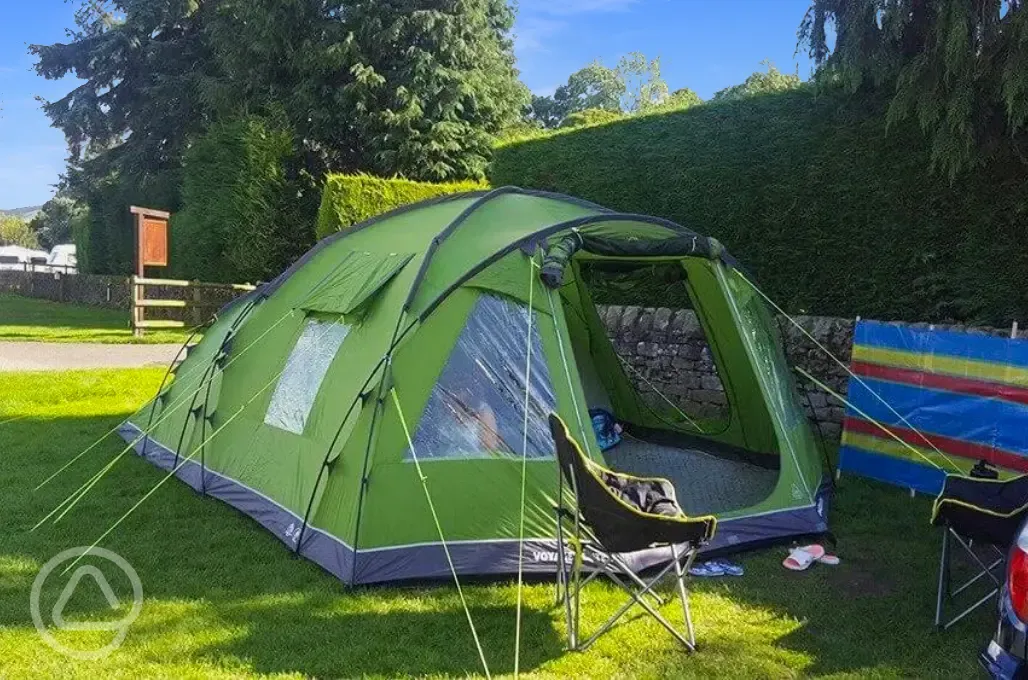 Grass tent pitch with a medium tent