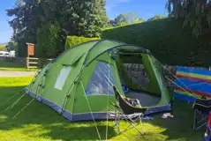 Grass tent pitch with a medium tent