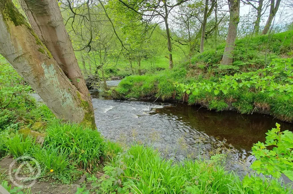 The River Noe, running alongside the site