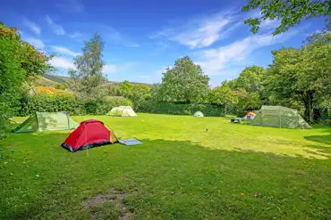 Grass pitches