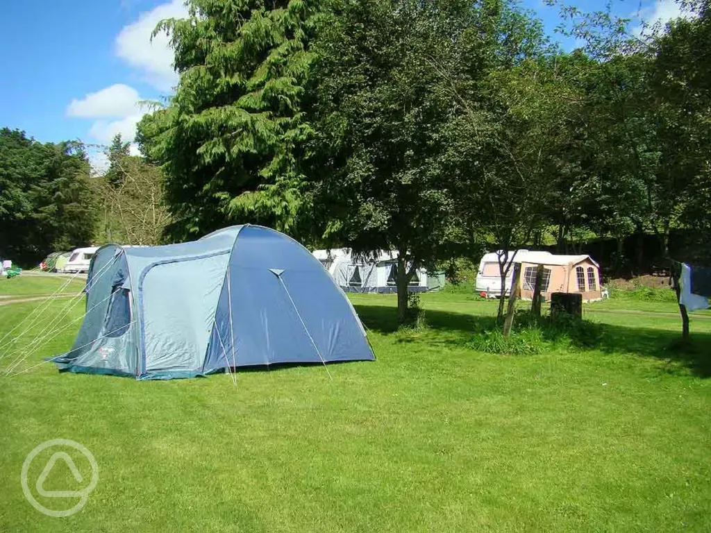 Tent camping at Shaw Ghyll Caravan and Camping