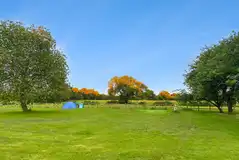 Tents on electric grass pitches at Birchbank Camping Site (10 amp hook up)