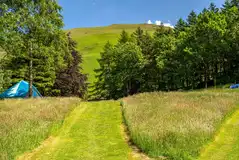 Mown paths to areas of the campsite