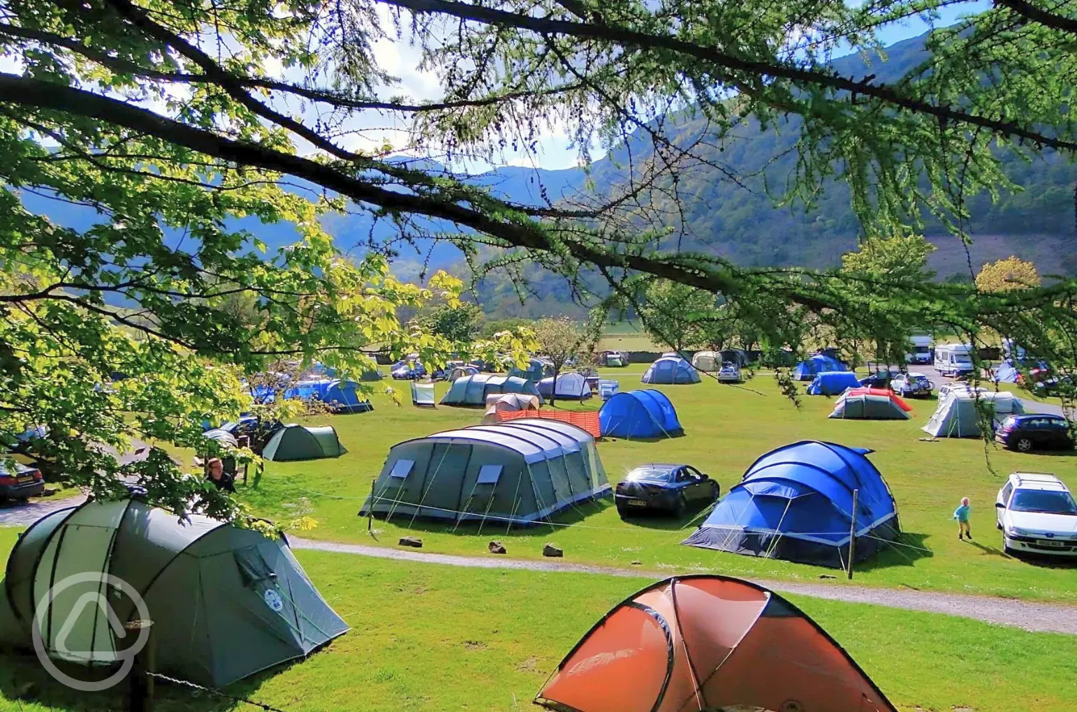 Non electric grass pitches (not assigned, so choose where you pitch)