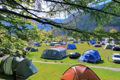 Non electric grass pitches (not assigned, so choose where you pitch) Non electric grass pitches (not assigned, so choose where you pitch)