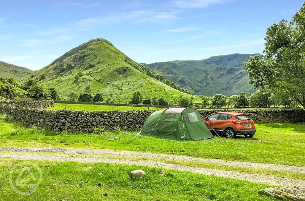 Non electric grass pitches (not assigned, so choose where you pitch)