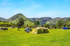 Non electric grass tent pitches (unassigned, pick your own pitch)
