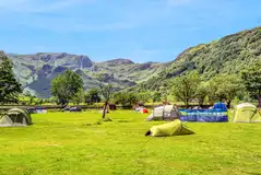 Non electric grass tent pitches (unassigned, pick your own pitch)
