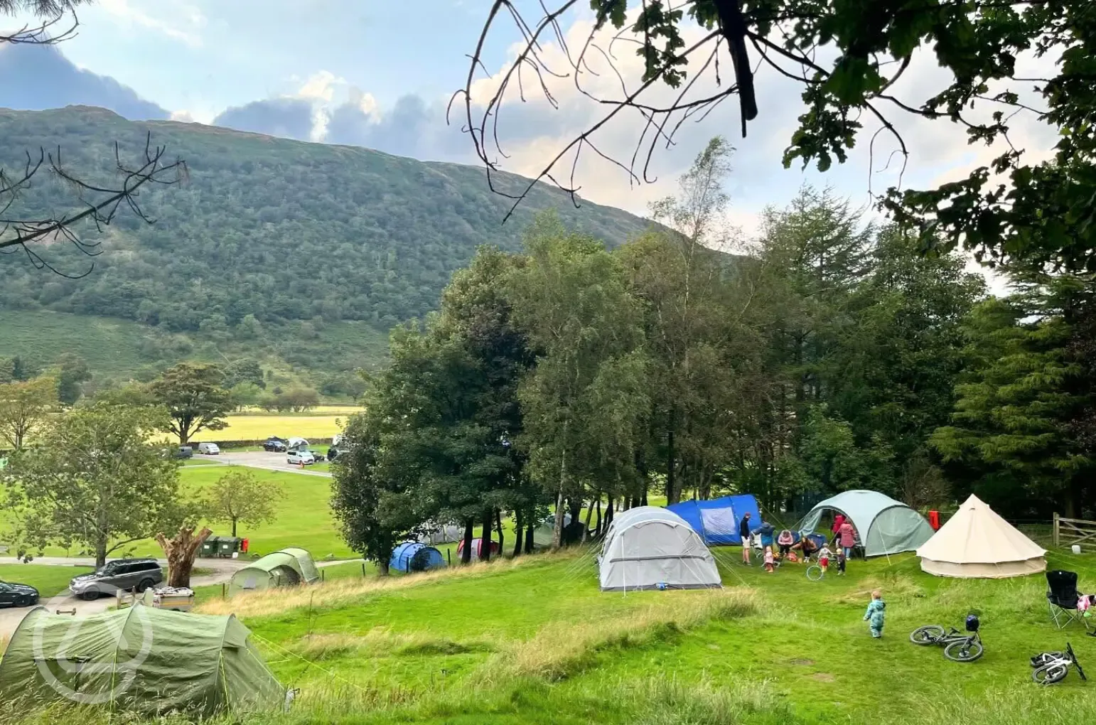 Non electric grass pitches (not assigned, so choose where you pitch)