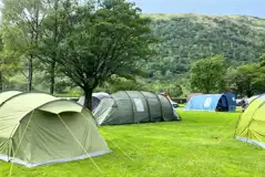 Non electric grass pitches for tents only Non electric grass pitches for tents only