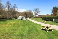 Non electric grass tent pitches (5m x 4m) with picnic benches