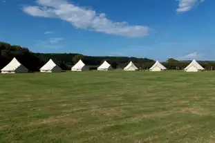 Nine Acres Caravan and Camping Park, Laugharne, Carmarthen, Carmarthenshire (11.9 miles)