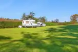 Grass pitches in Eeyore's Paddock (hiker and electric pitch options)