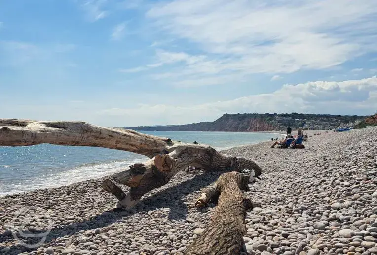 Nearby Budleigh Beach (five minute drive)