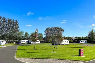 Forget Me Not, Longhorsley, Northumberland
