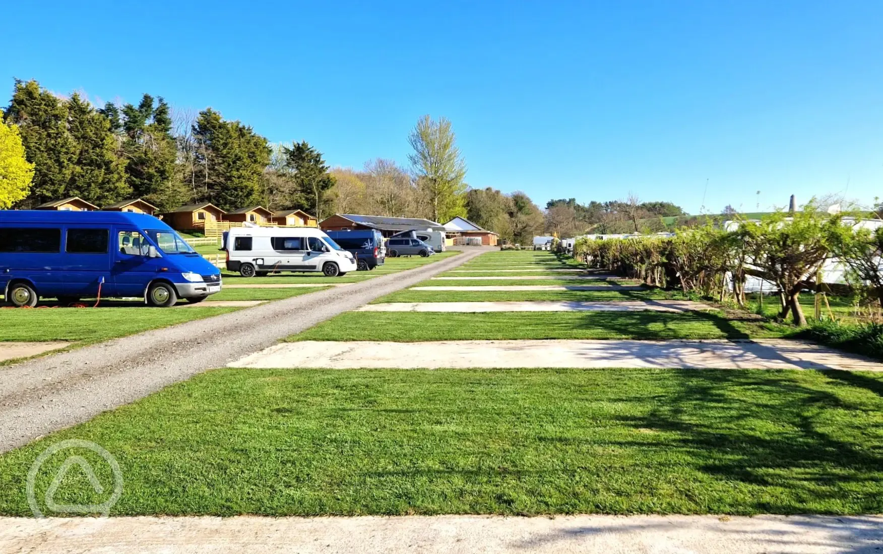 Hardstanding pitches with 16 amp optional electric at Budle Bay Campsite