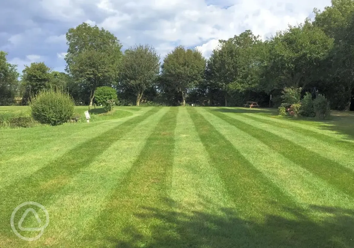 Electric grass pitches