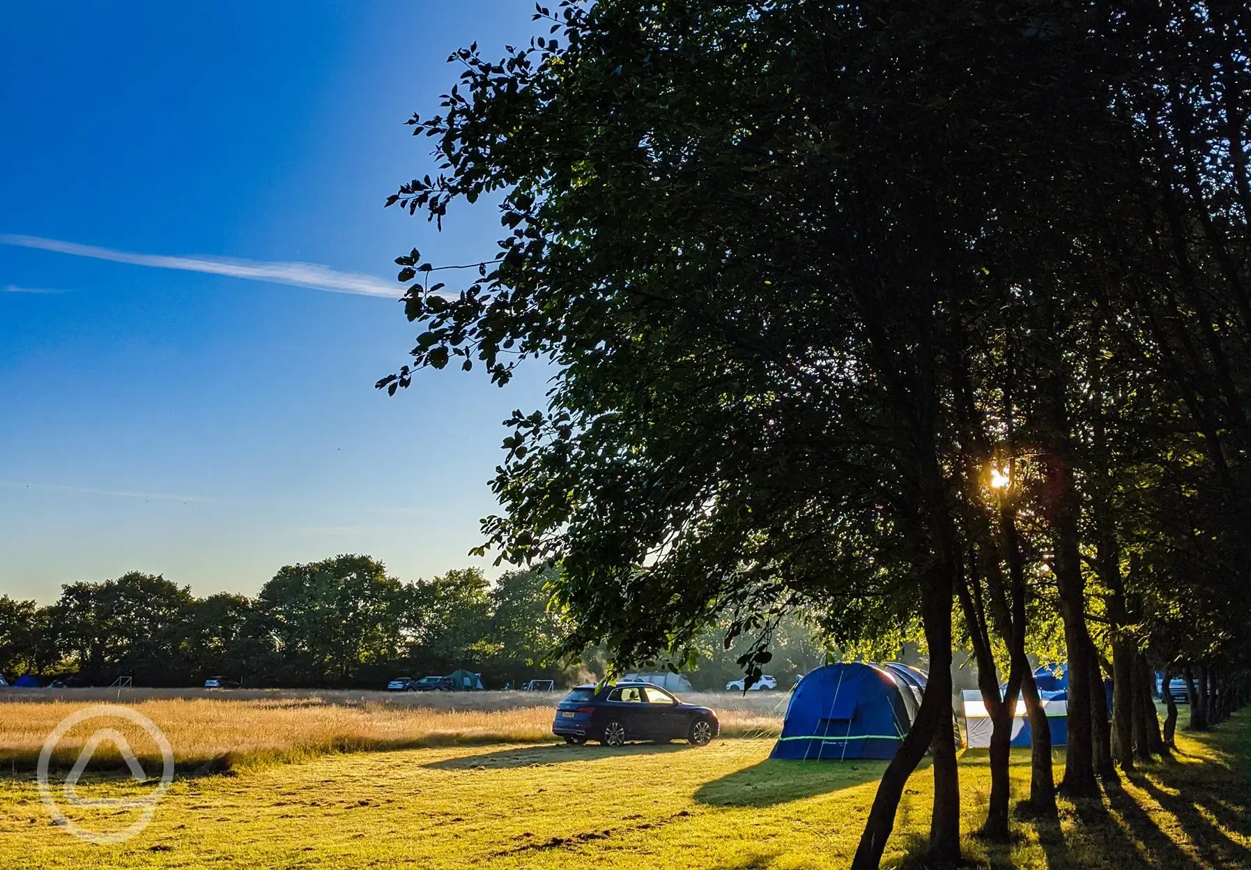 Grass pitches 