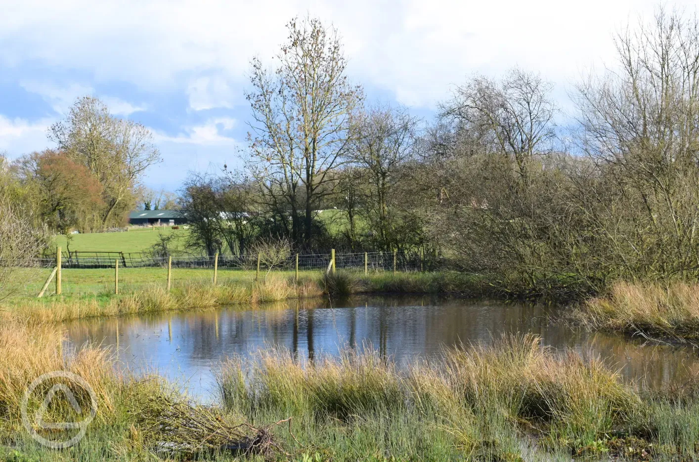 Pond onsite