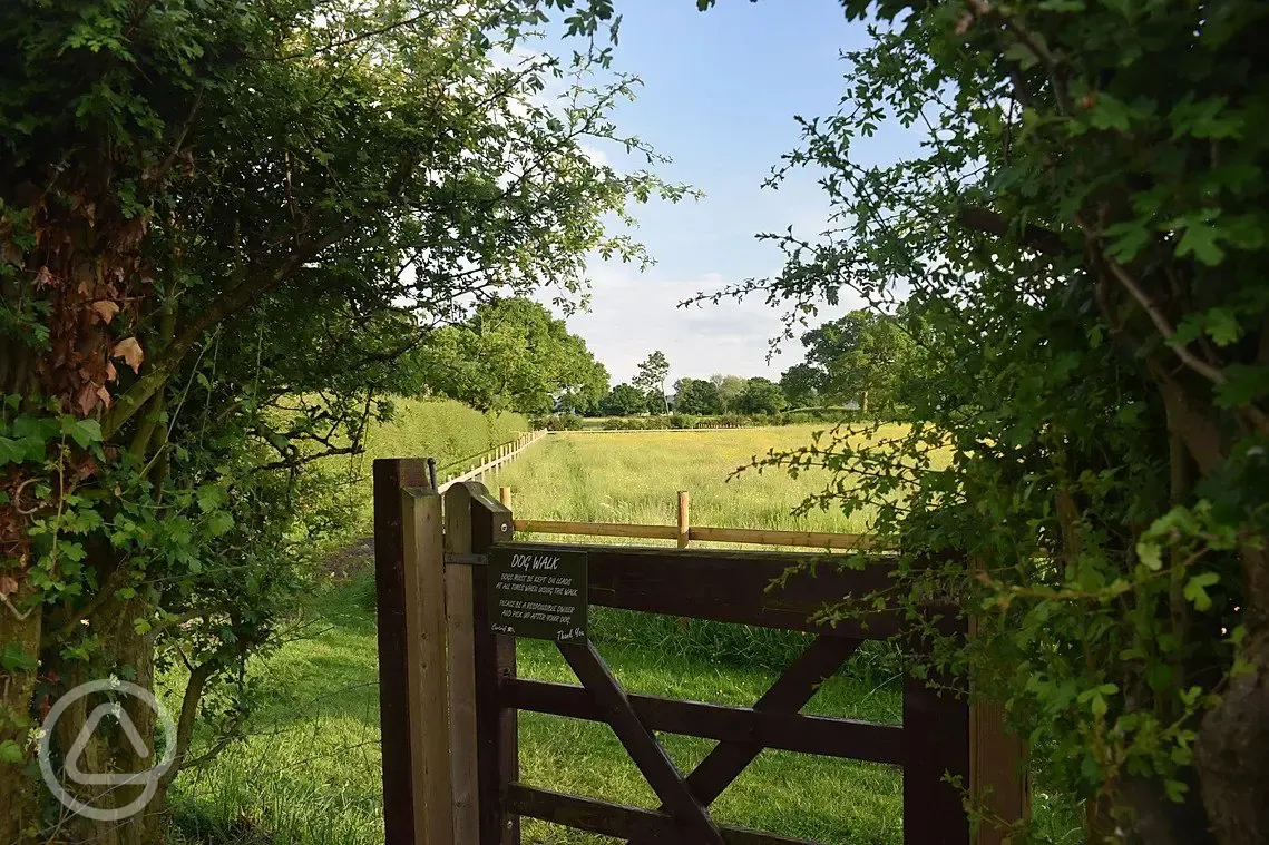 Dog exercise area 